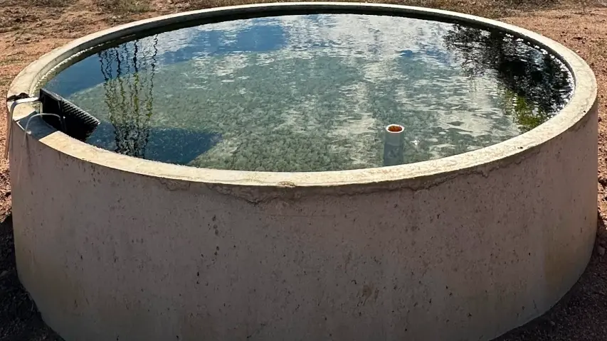 Water trough closeup