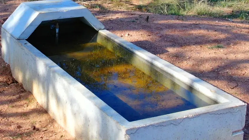 Water trough rectangle closeup