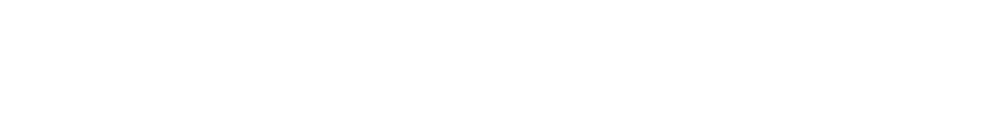 Skeeter Hawk Logo