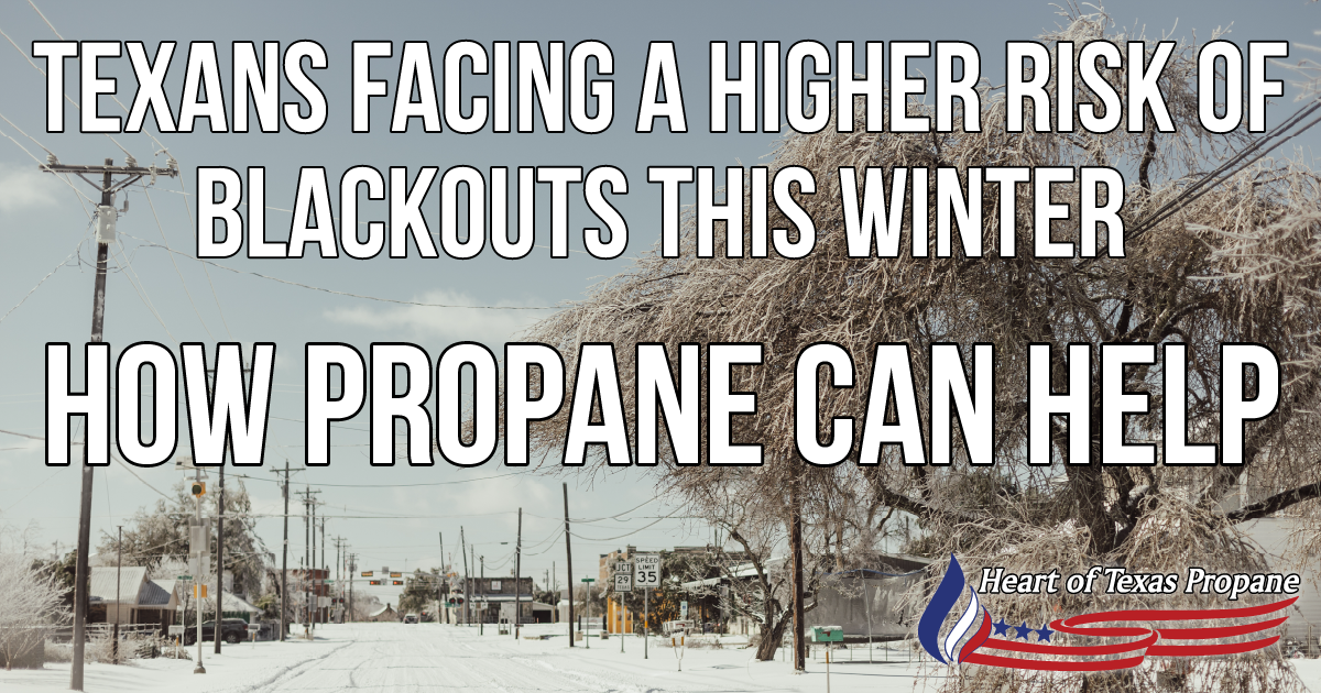 Texas winter propane help 2024